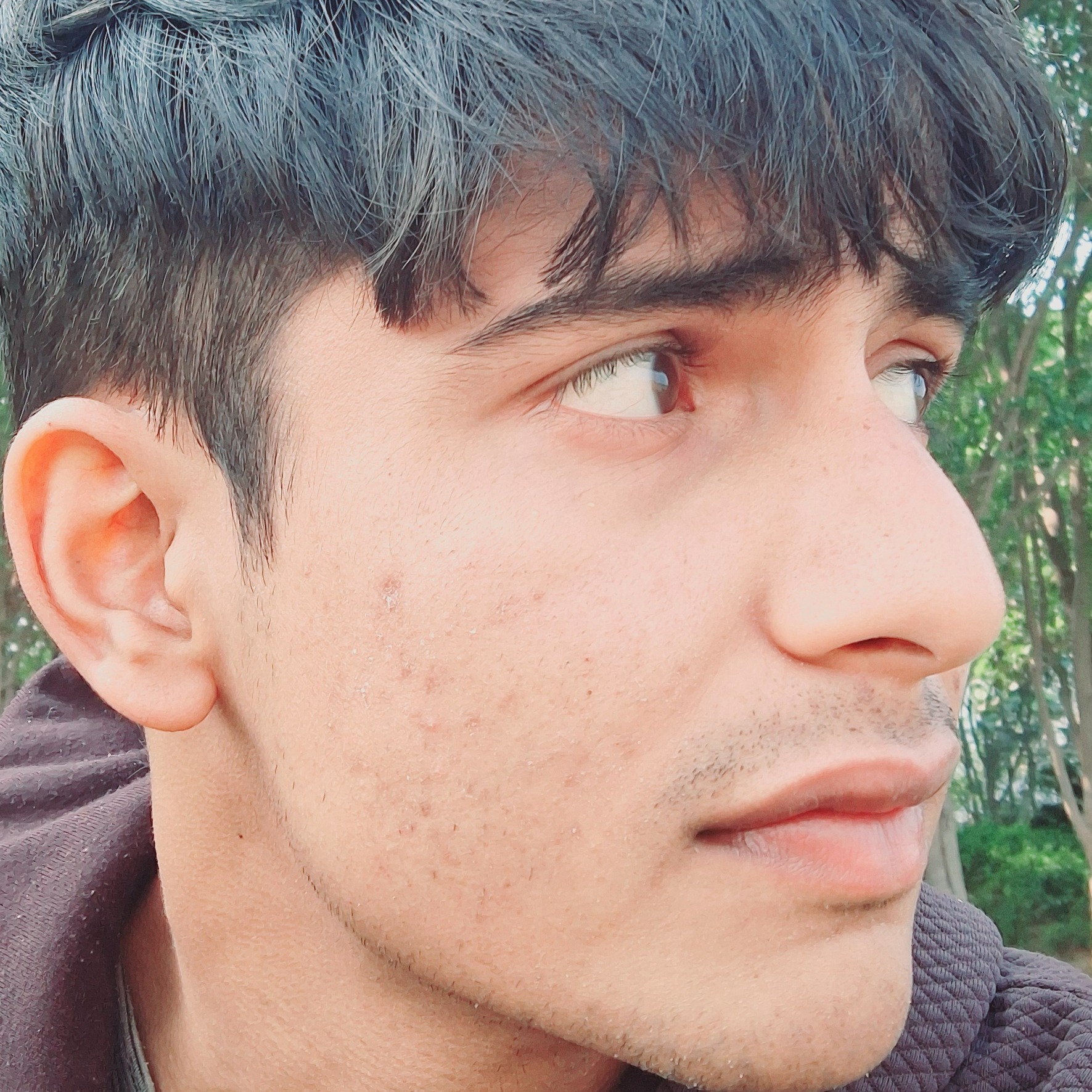 anshul