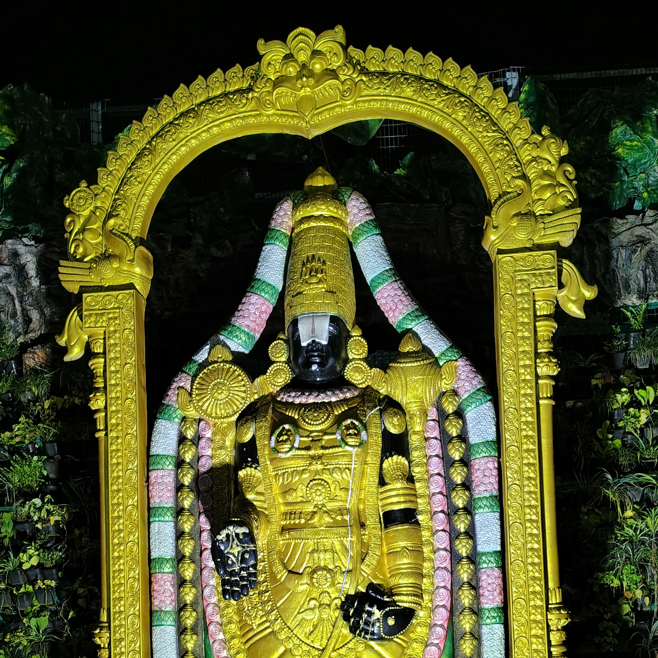 dev rohit