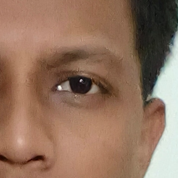ABHILASH GOLLAPOGULA