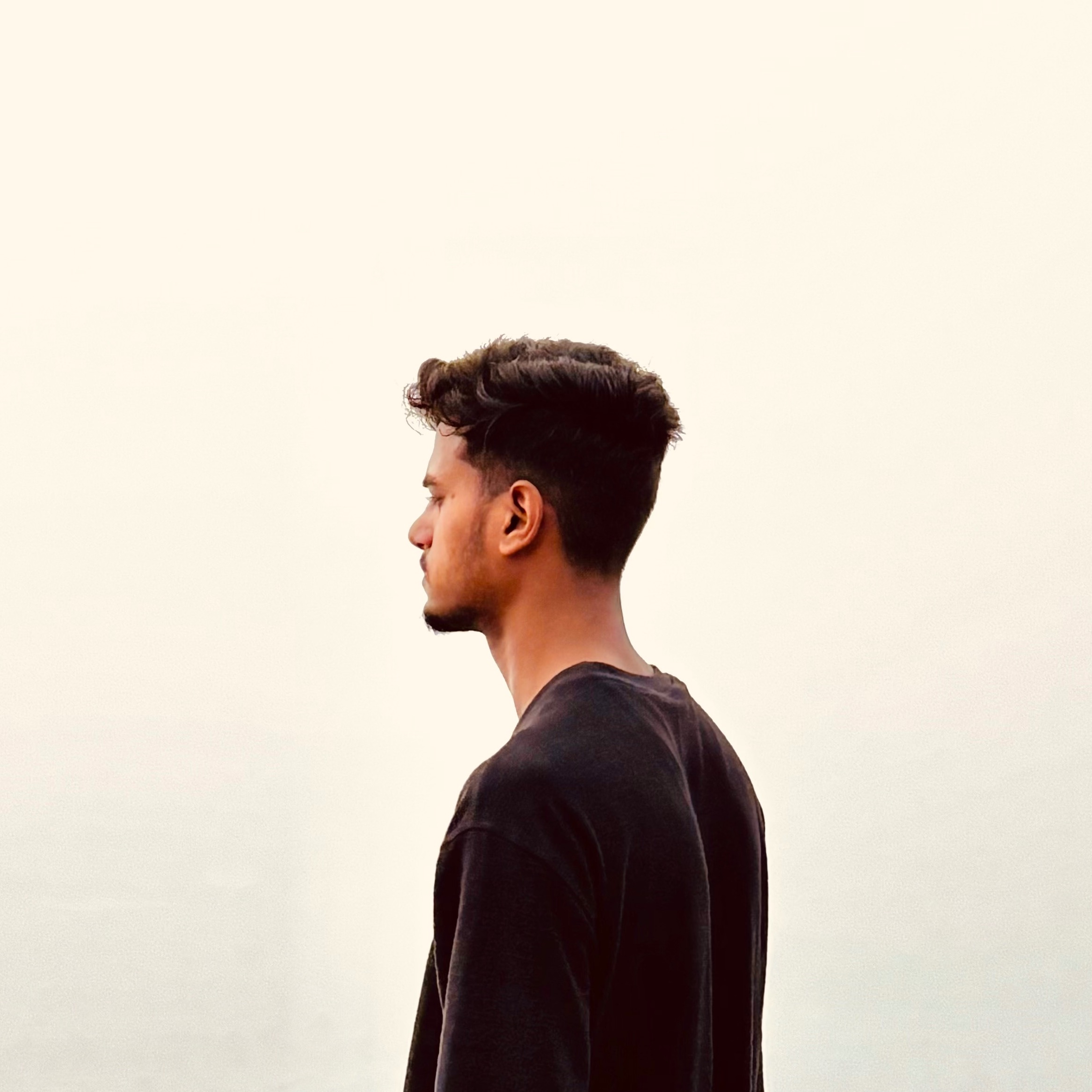 Ankit Meena