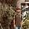 NITIN MAURYA