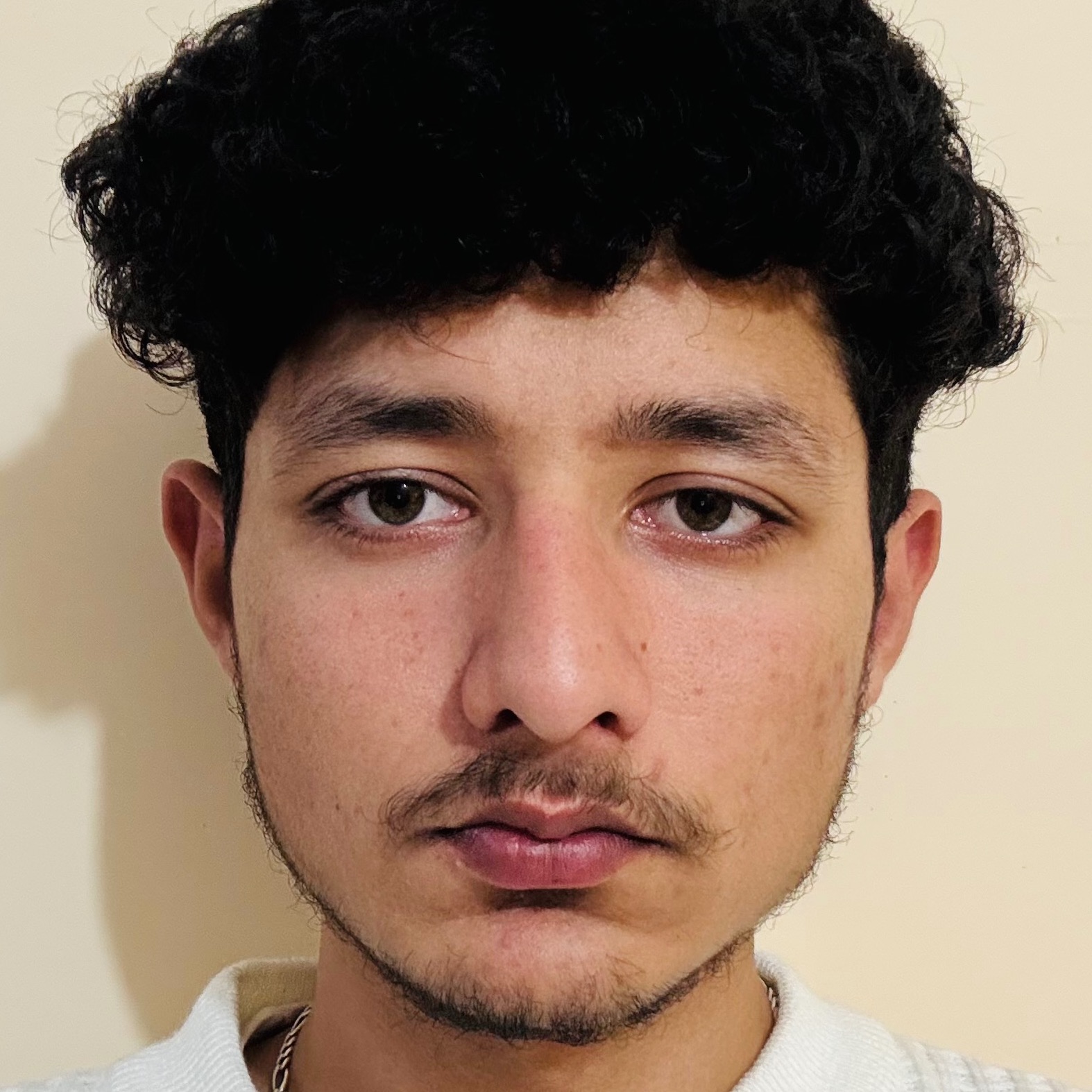 Aryan
