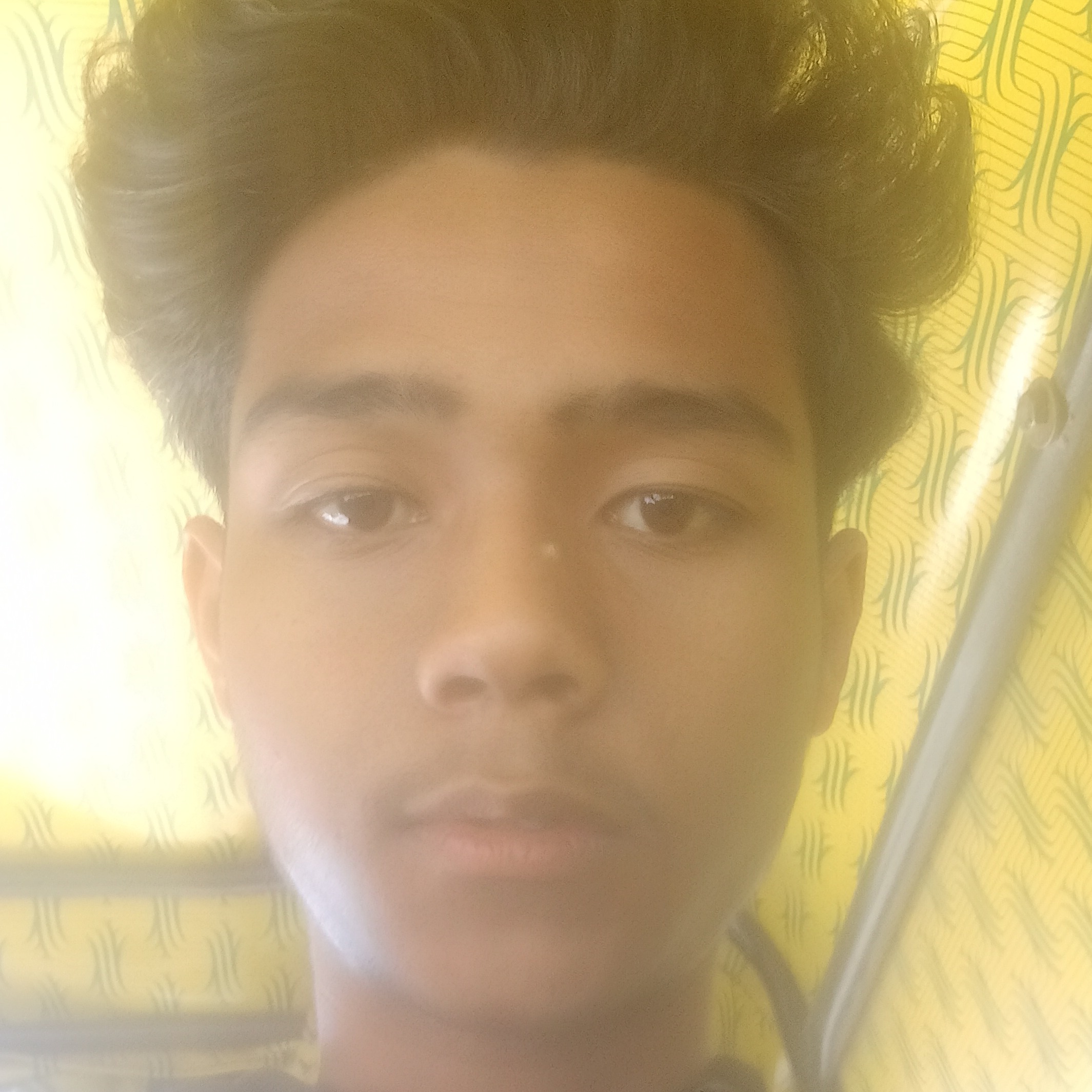 Rohan Bisht