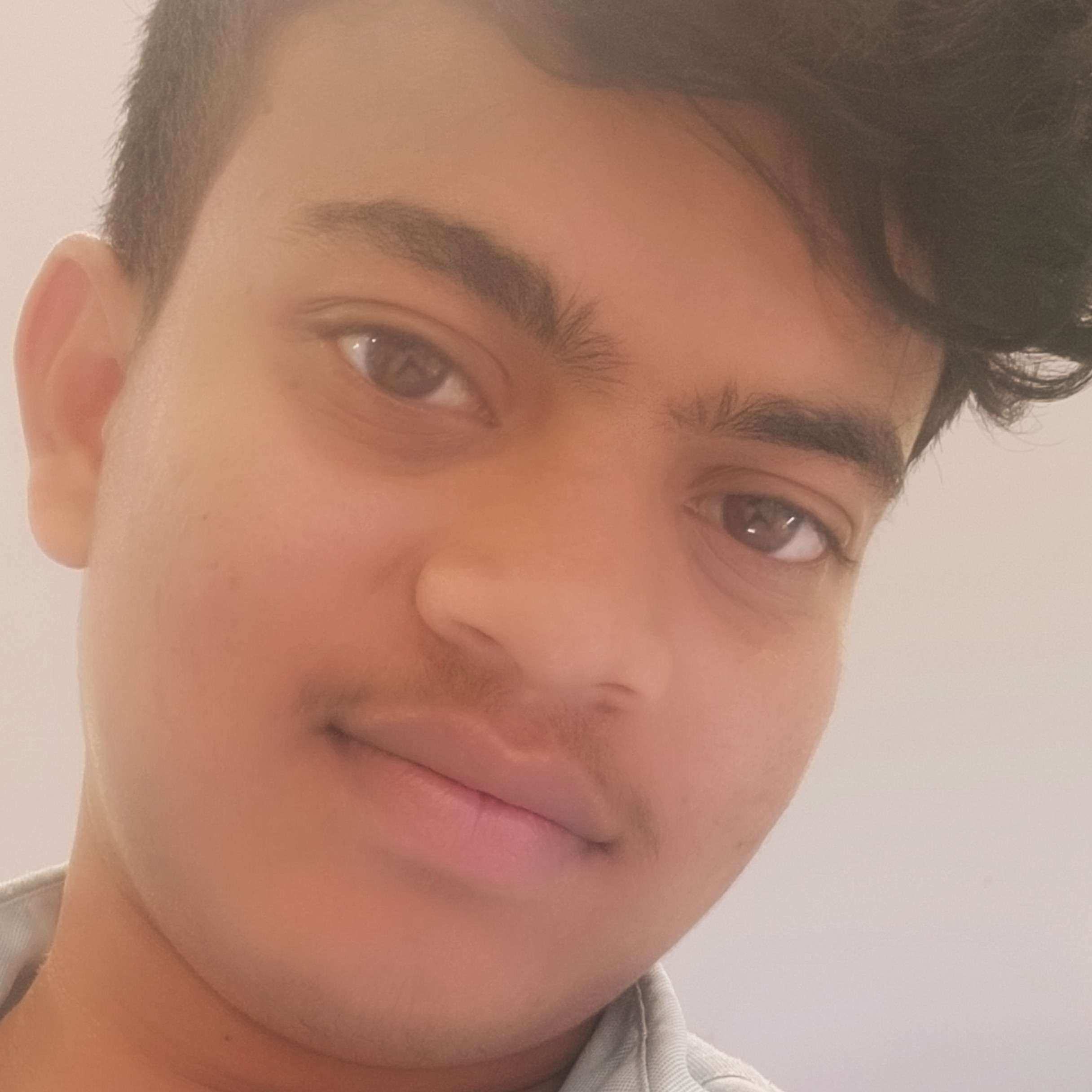 Mudusu sairamteja