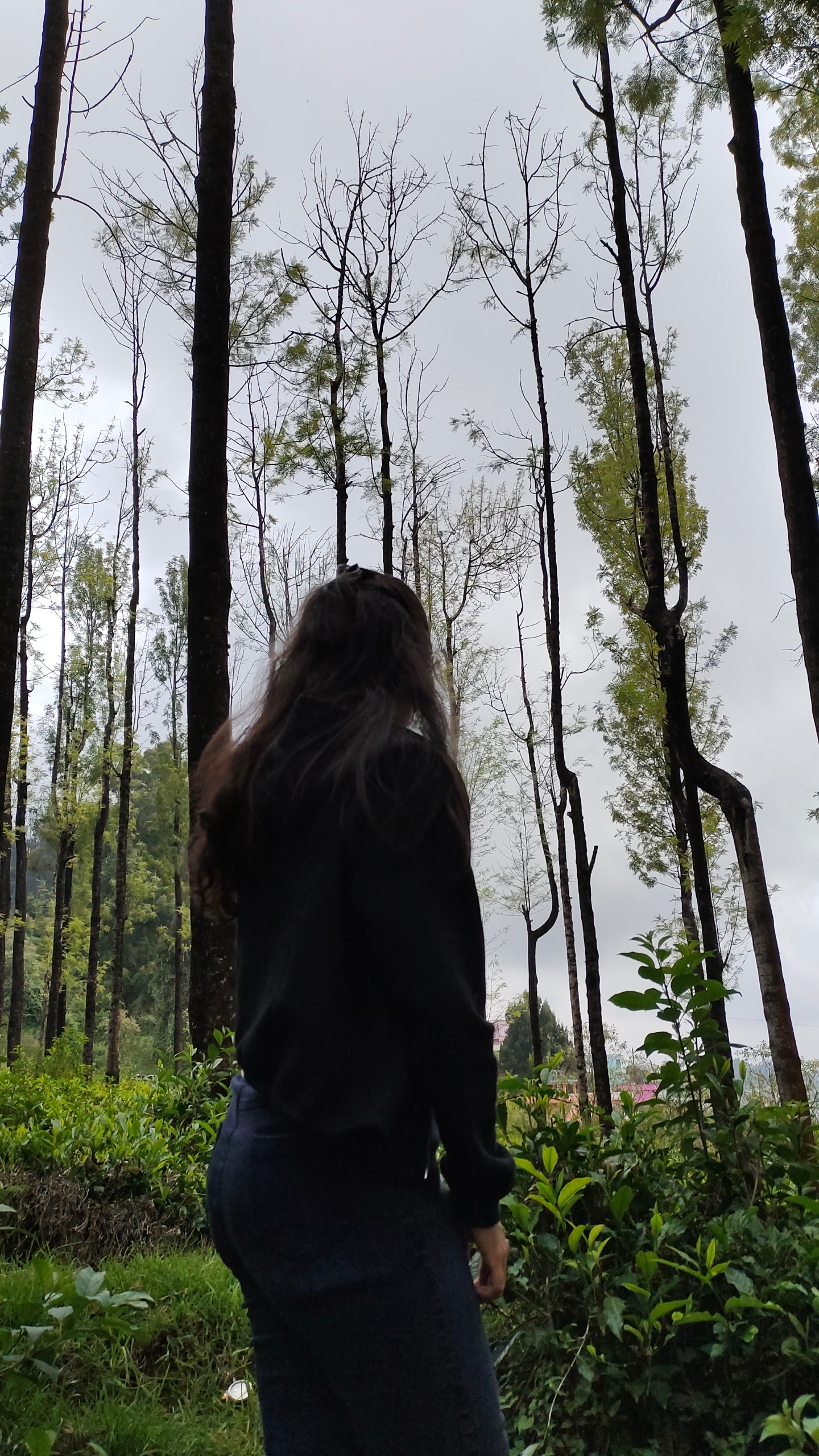 SIDDHI MISHRA