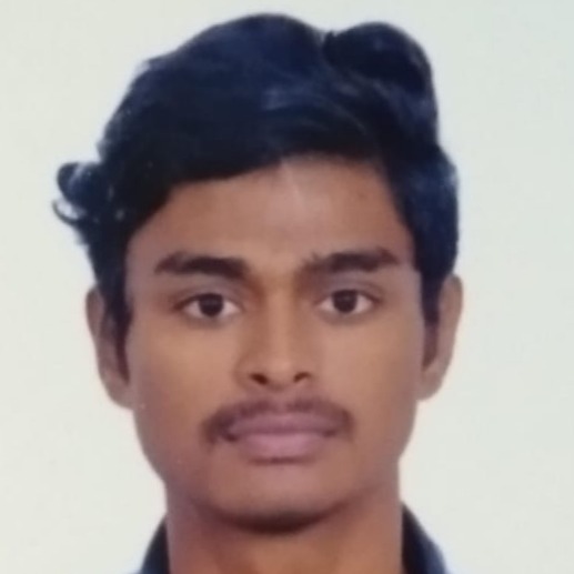 Varmani Bunny