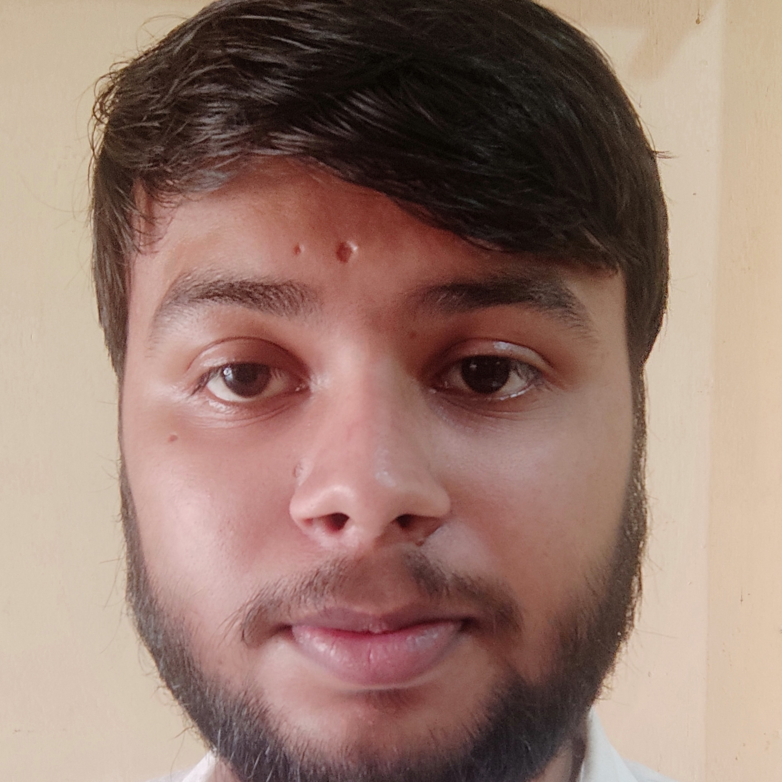 Krishna Prajapati