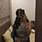 Rwitika Bhatta