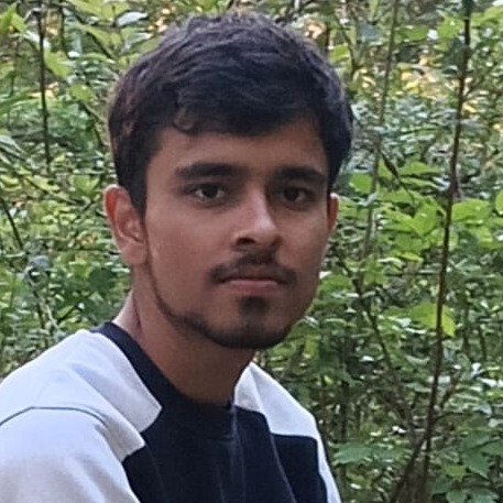Vidit Sati