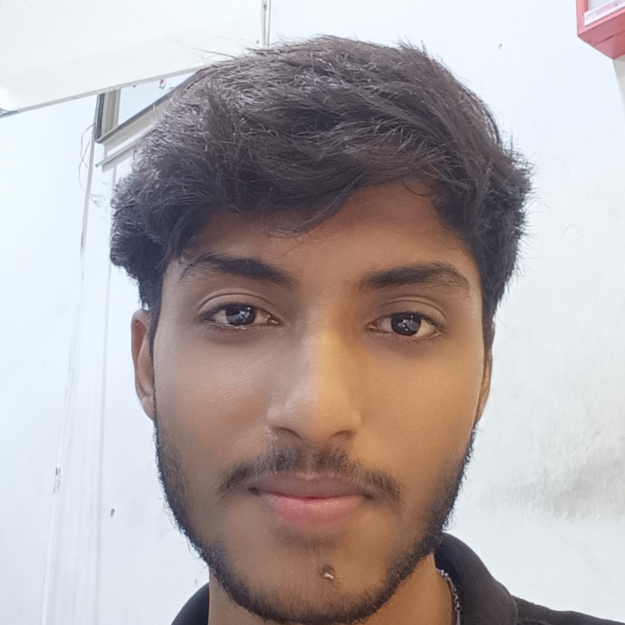 Arkadip Bhowmick
