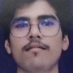 rohit pimoli