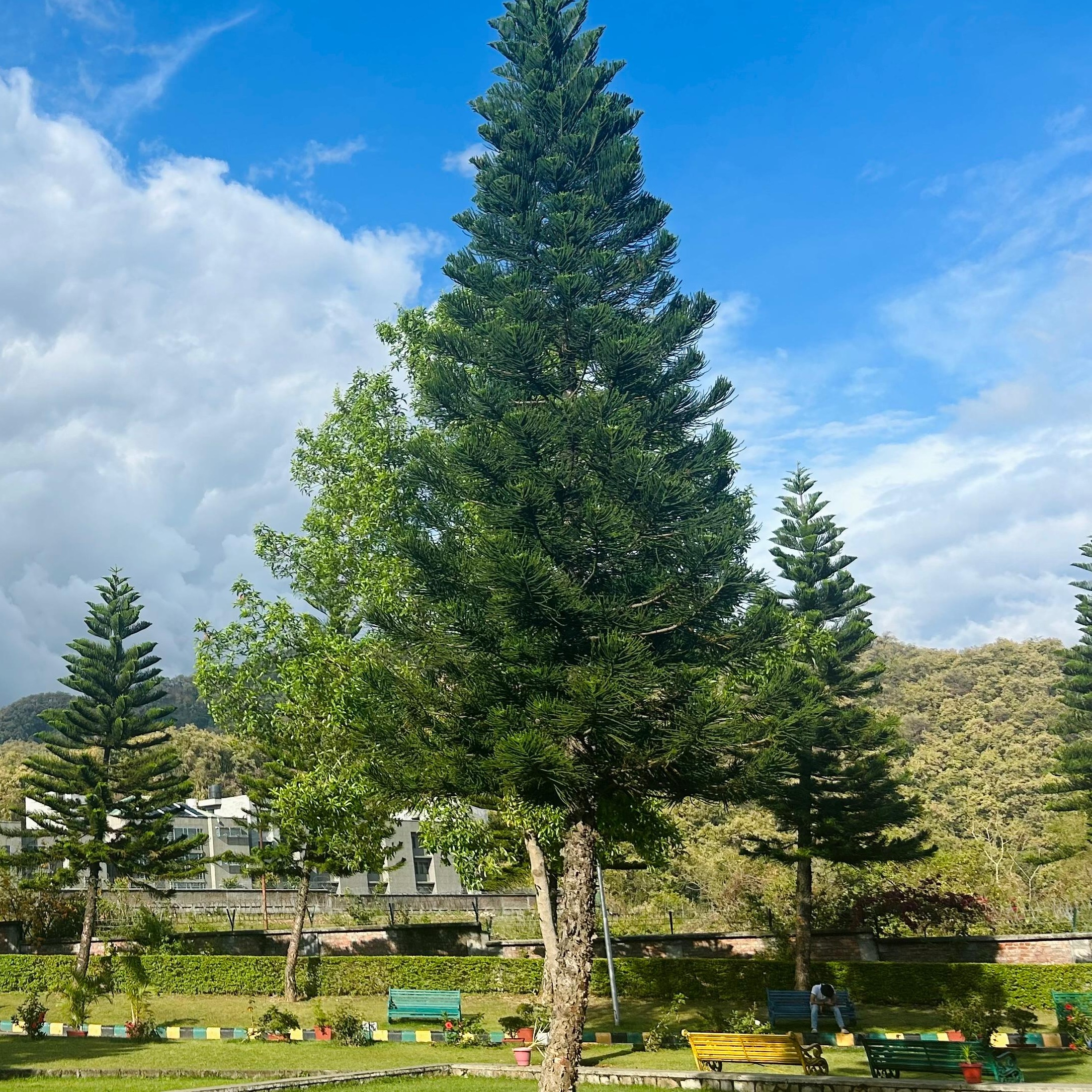 KIRTI BUDHIA