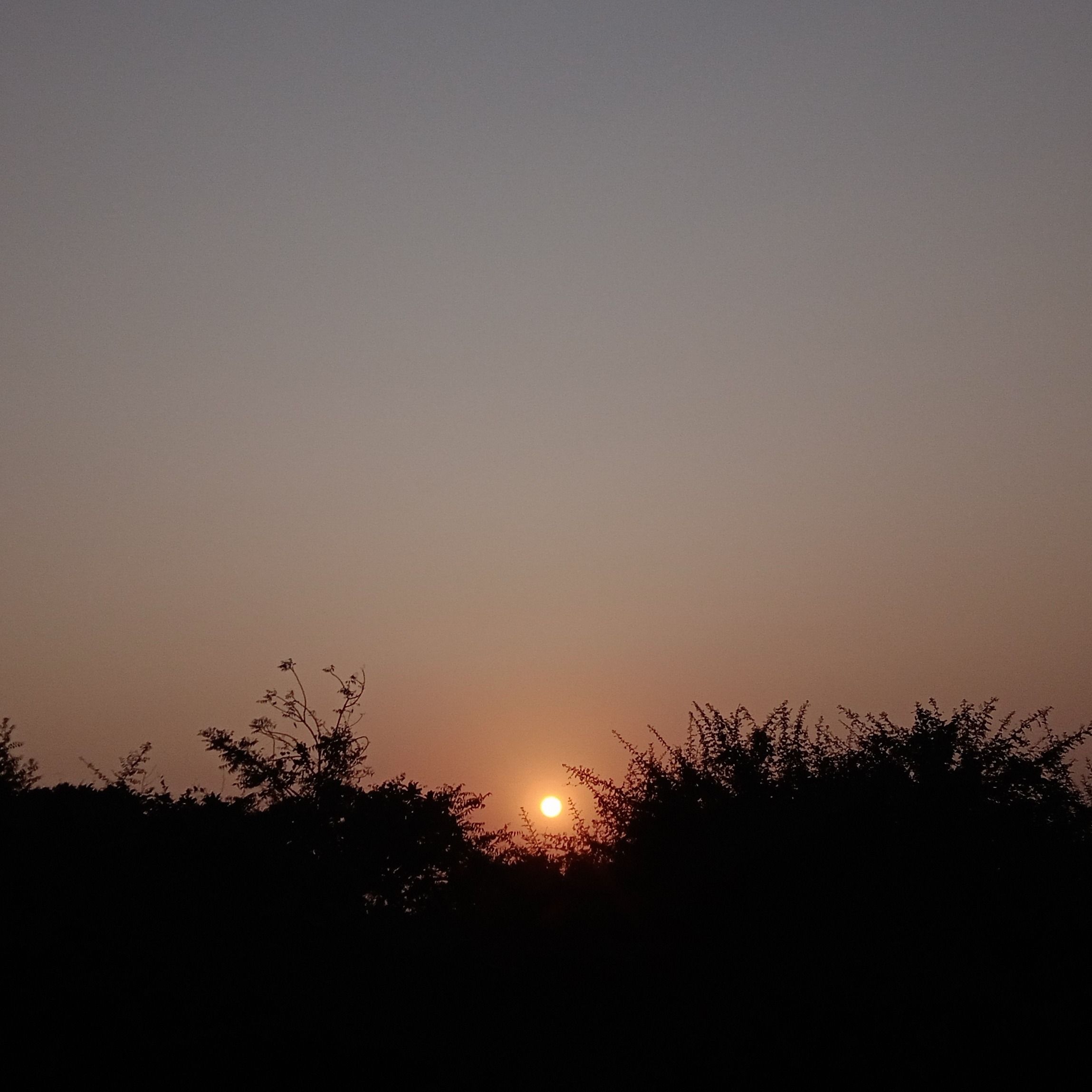 Nayka Bhavin