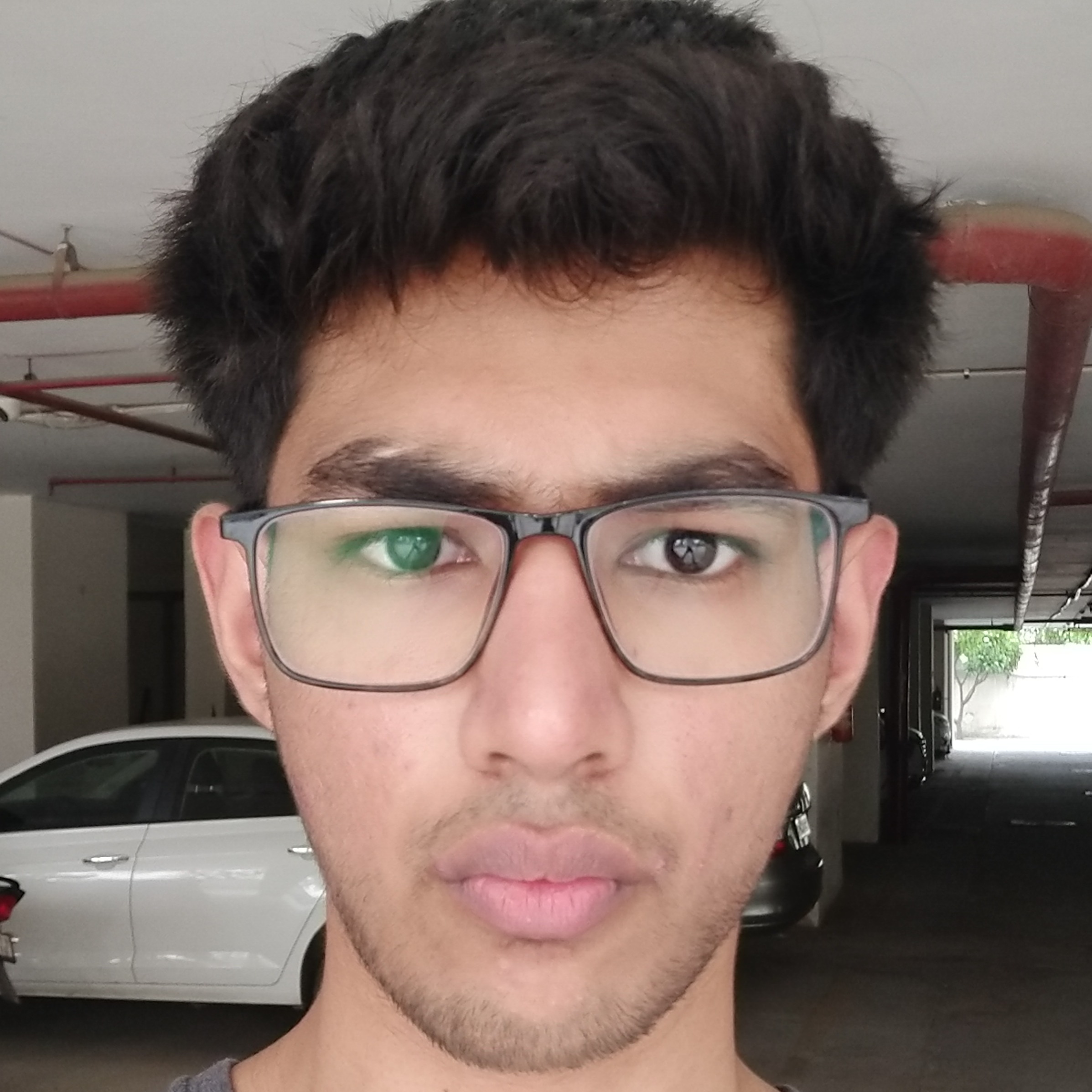 Shrestha Data