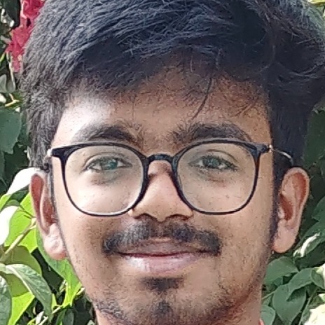 Dharaneesh Kumar V K