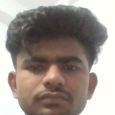 ANKIT PAL
