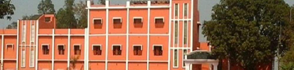 Jamini Roy College