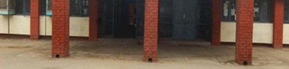 Government College