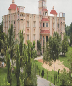 undefined cover image