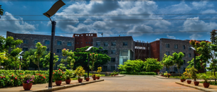 undefined cover image