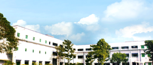 undefined cover image