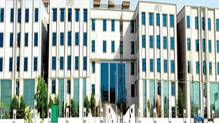 Apex University Jaipur