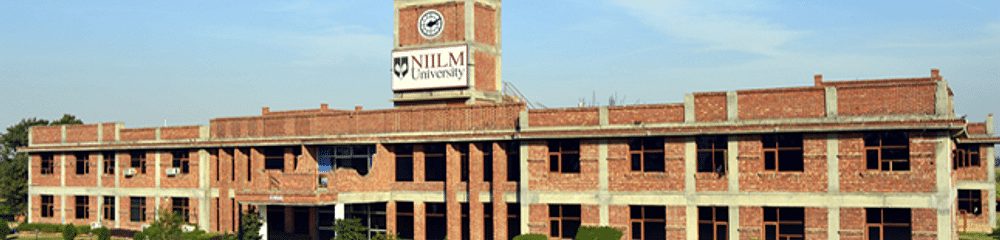 NIILM University