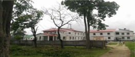 sonitpur polytechnic