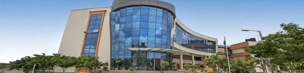Footwear Design and Development Institute - [FDDI]
