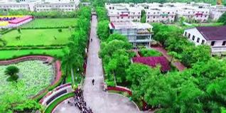 Vishnu Institute of Technology (VITB), Bhimavaram Admission 2026: Cut Off, Scholarship, Reservation