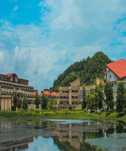 undefined cover image