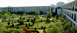 undefined cover image