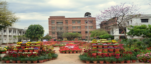 undefined cover image