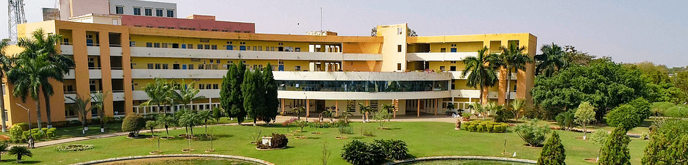 C. V. Raman Global University