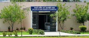undefined cover image