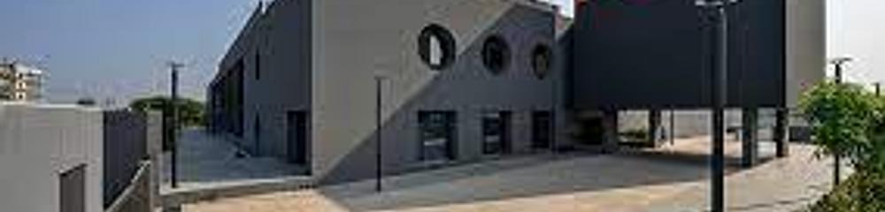 International Automobile Centre of Excellence - [iACE]