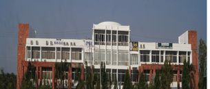 undefined cover image