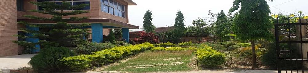 Institute of Business Management - [IBM]