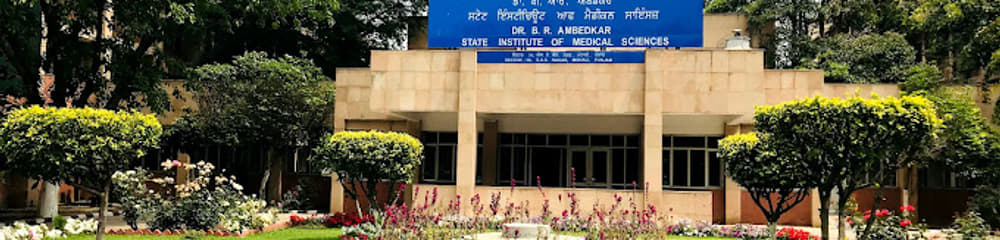 Dr. B. R. Ambedkar State Institute of Medical Sciences Mohali: Fees ...