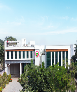 undefined cover image