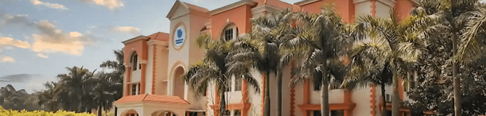 Uttaranchal University Online