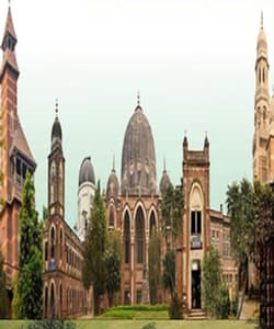 undefined cover image