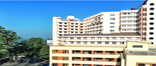 undefined cover image