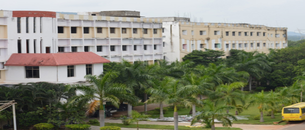 undefined cover image