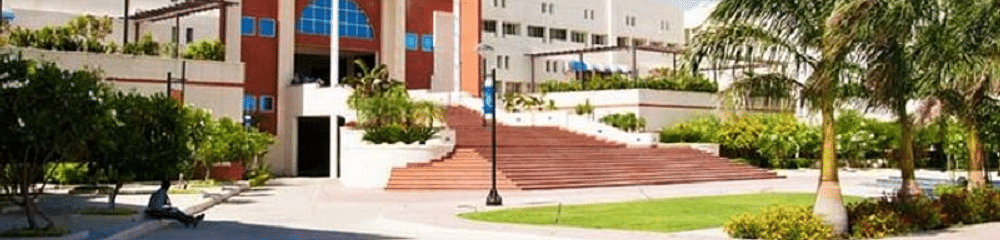 Indore Institute of Management and Research - [IIMR]