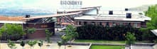 SIBM Pune