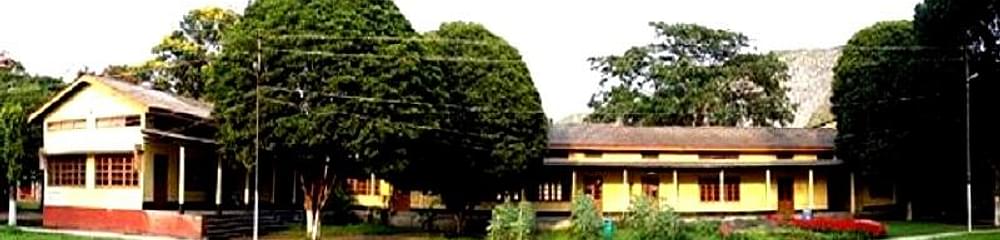 Jagiroad College