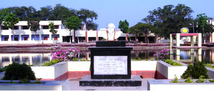 undefined cover image