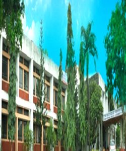 undefined cover image