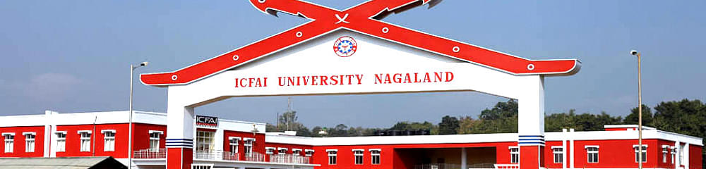 ICFAI University